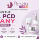 UNDERSTAND THE DERMA PCD COMPANY BUSINESS MODEL