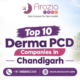 Top 10 Derma PCD Companies in Chandigarh